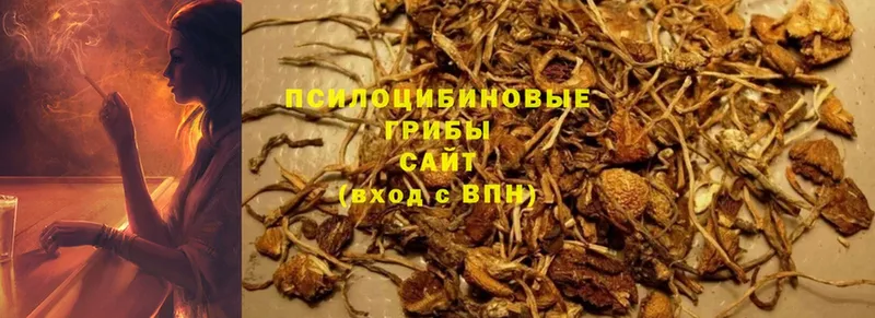 Псилоцибиновые грибы GOLDEN TEACHER Зеленокумск